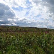 DSC04169