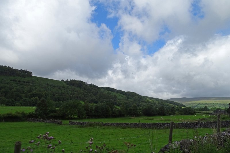 DSC03197