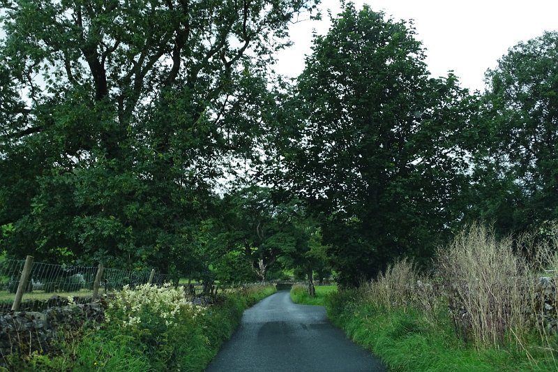 DSC03200
