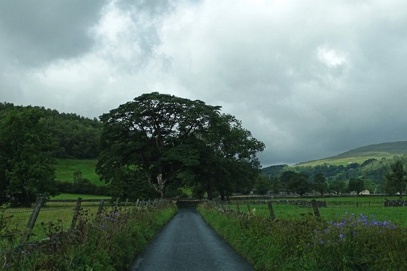 DSC03201