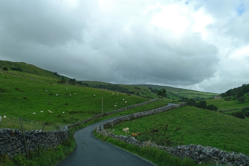 DSC03203
