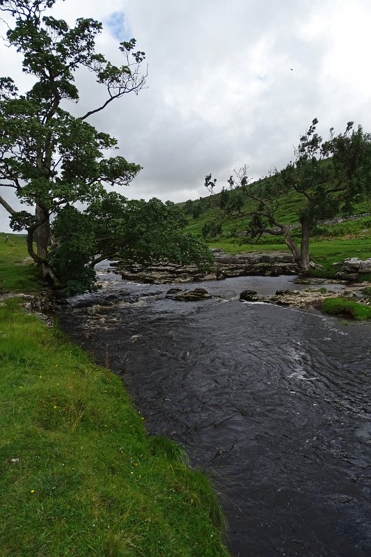 DSC03235