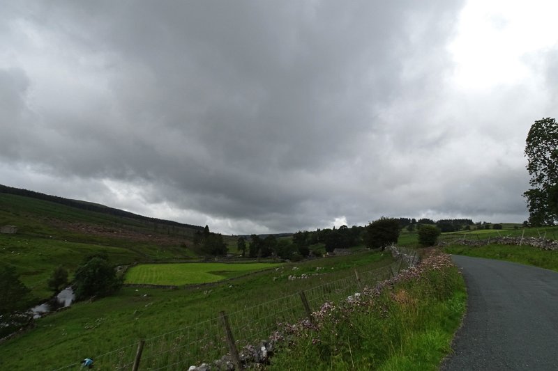 DSC03245