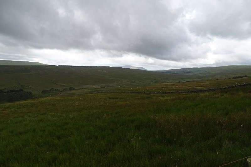 DSC03250