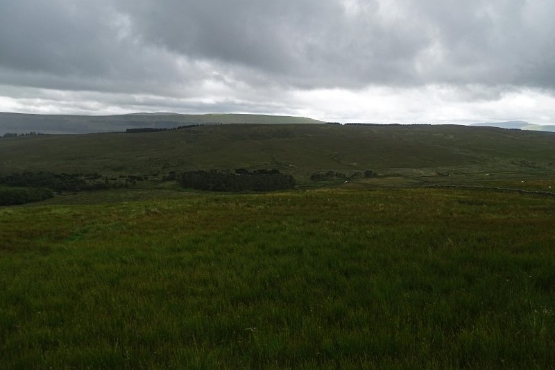 DSC03251