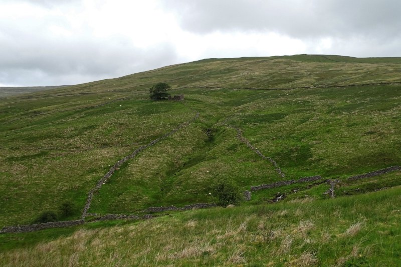 DSC03306
