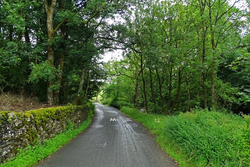 DSC03312