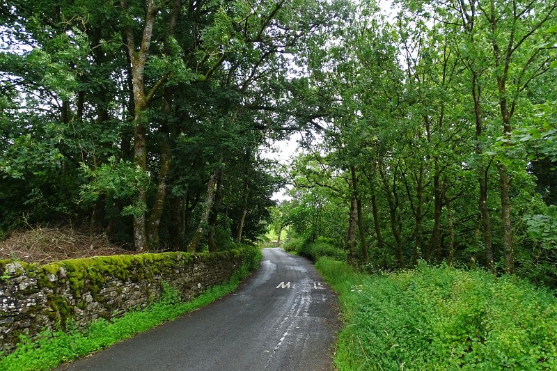 DSC03314