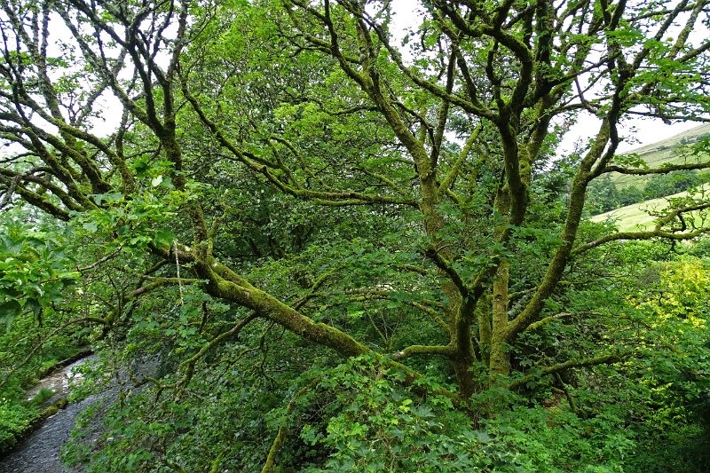 DSC03318