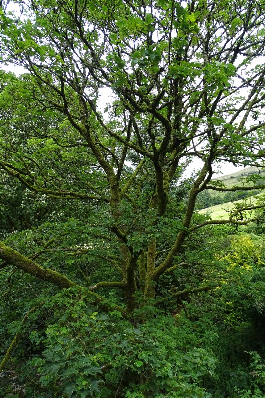 DSC03319