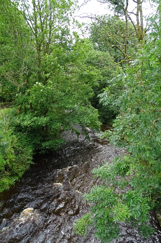 DSC03320