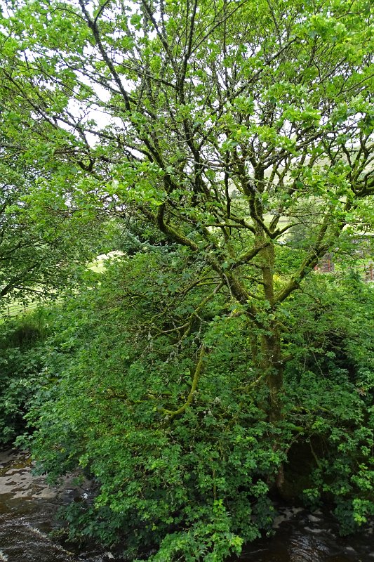 DSC03321