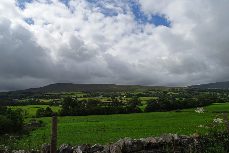 DSC03325
