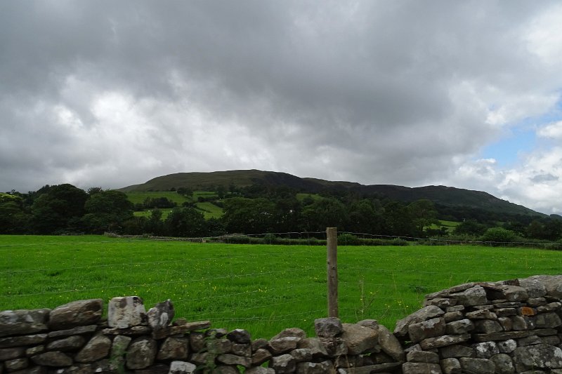 DSC03360