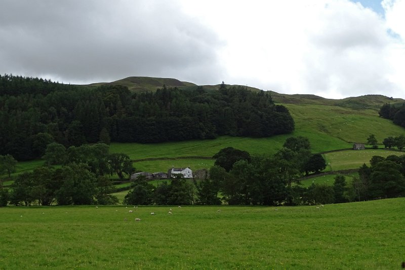 DSC03366