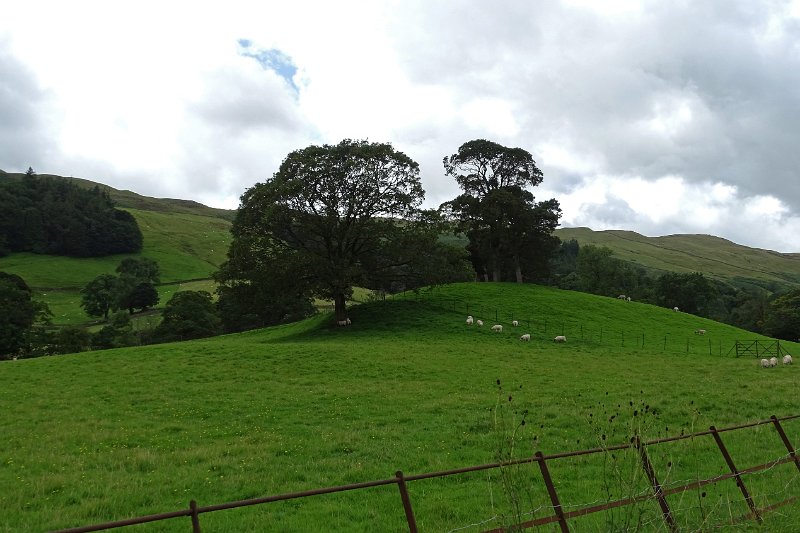 DSC03369