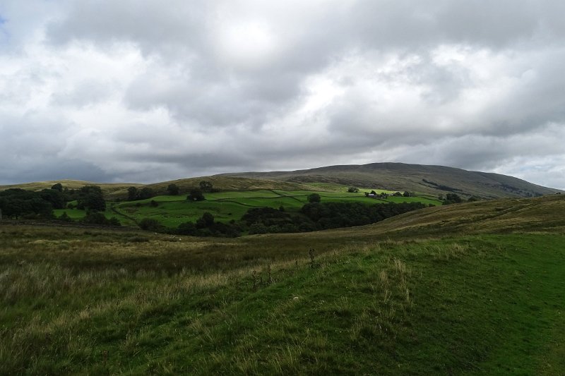 DSC03374