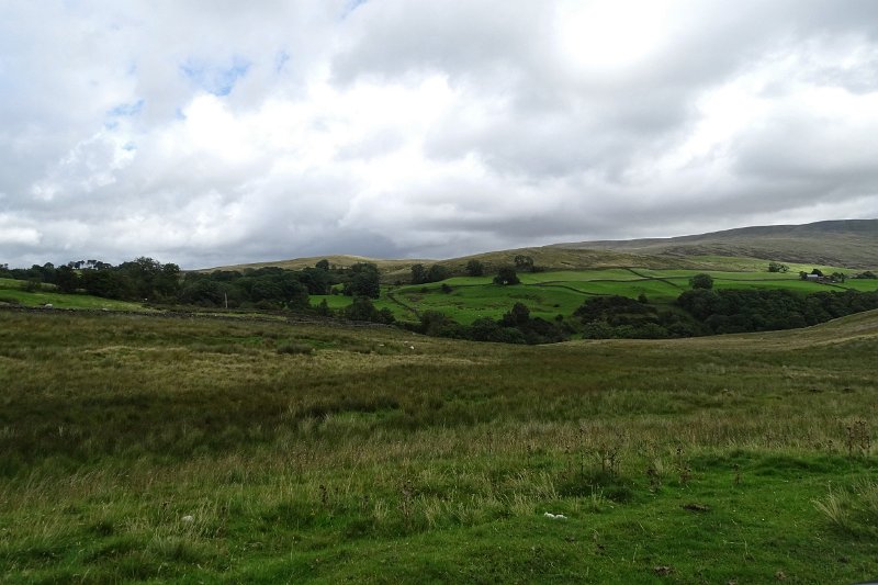 DSC03376