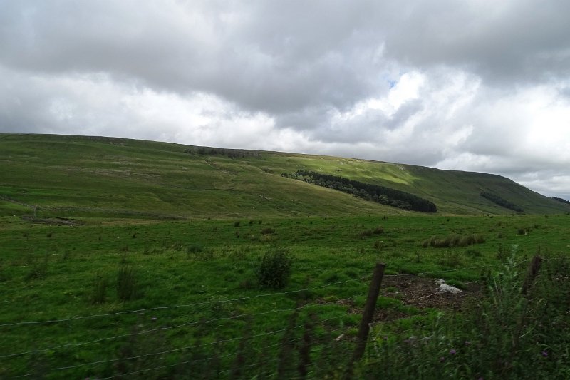 DSC03404