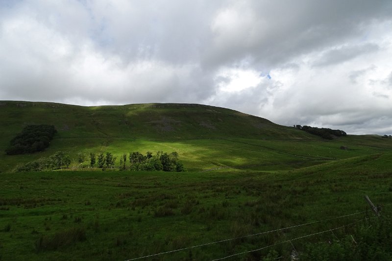 DSC03405