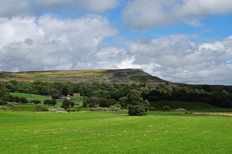 DSC03411