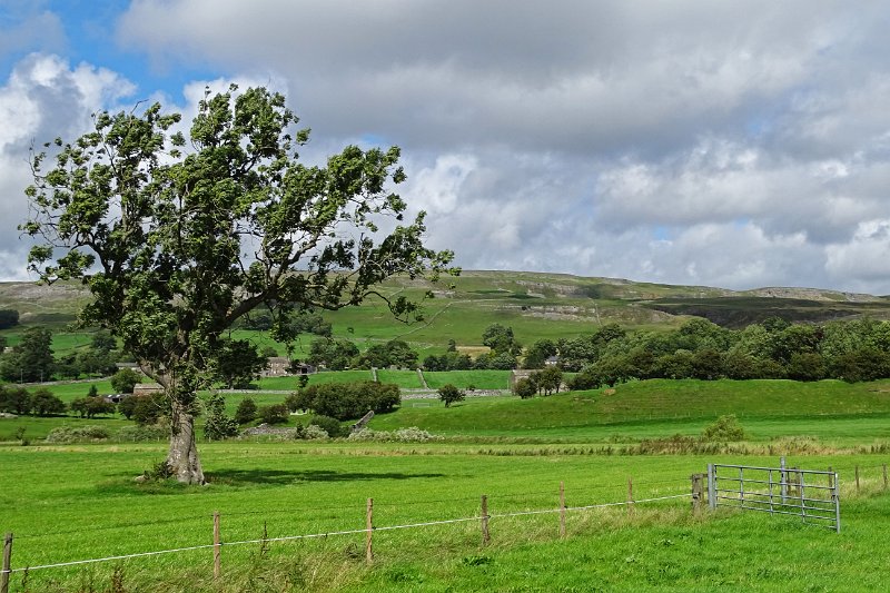 DSC03413