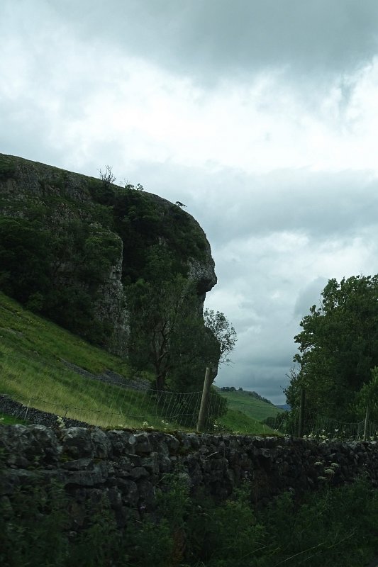 DSC03452