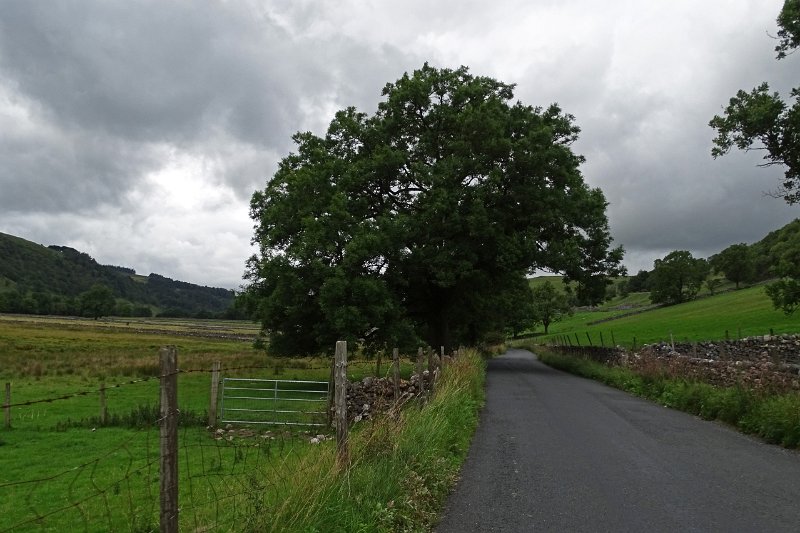 DSC03460