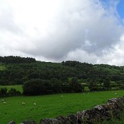 DSC03198