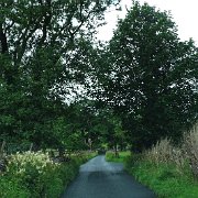 DSC03200