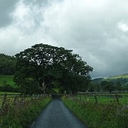 DSC03201