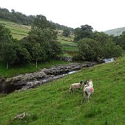 DSC03220