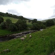 DSC03225