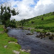DSC03229
