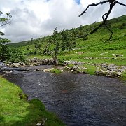 DSC03230