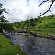 DSC03231