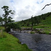 DSC03232