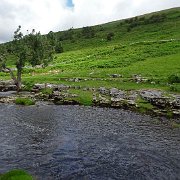 DSC03233