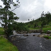 DSC03235