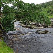 DSC03236
