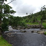 DSC03237