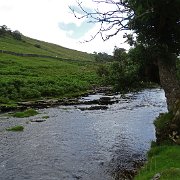DSC03239