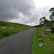 DSC03241