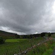 DSC03245