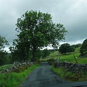 DSC03247