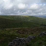 DSC03271