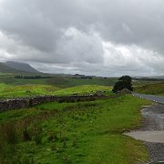 DSC03286