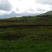 DSC03294