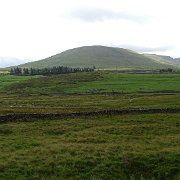 DSC03295