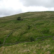 DSC03306